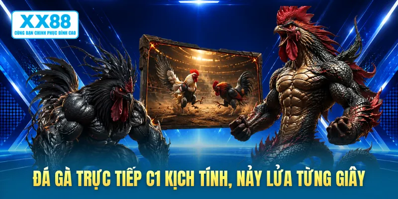 Đá gà trực tiếp C1 kịch tính, nảy lửa từng giây