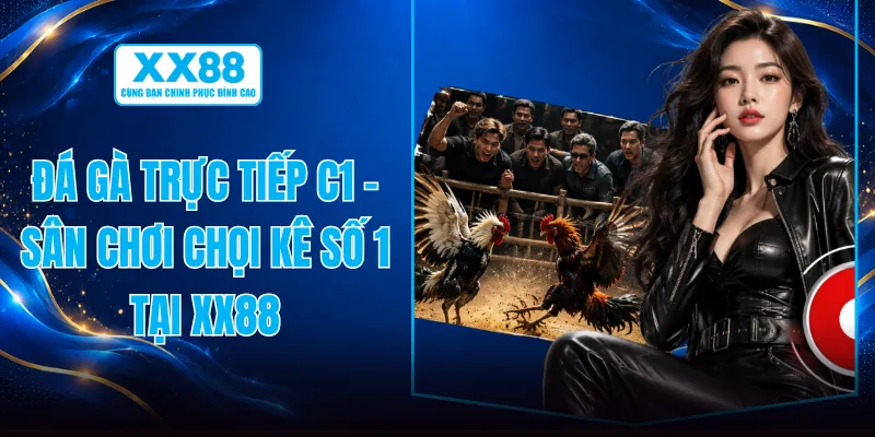 Đá Gà Trực Tiếp C1 - Sân Chơi Chọi Kê Số 1 Tại XX88