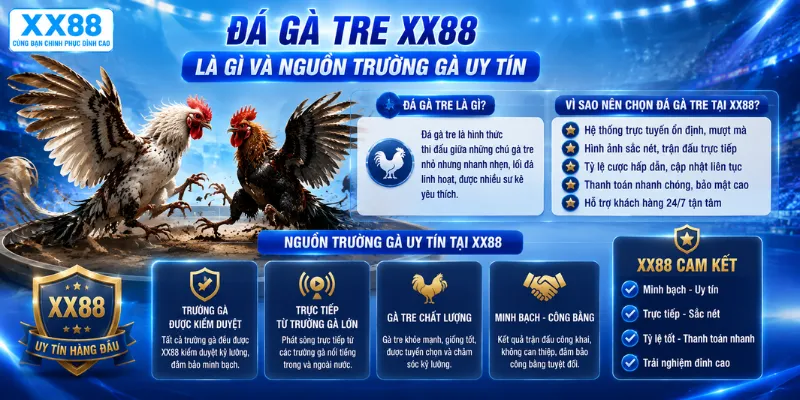 Đá gà tre XX88 là gì và nguồn trường gà uy tín